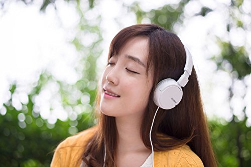 Sony MDR-ZX110A Wired On Ear Headphone without Mic (White)