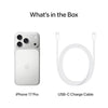 Apple iPhone 17 Pro Silver product detail