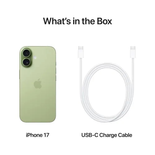Apple iPhone 17 Sage product detail - Parvez Mobile Master