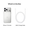 Apple iPhone 17 Pro Max Silver - Amazon India product detail